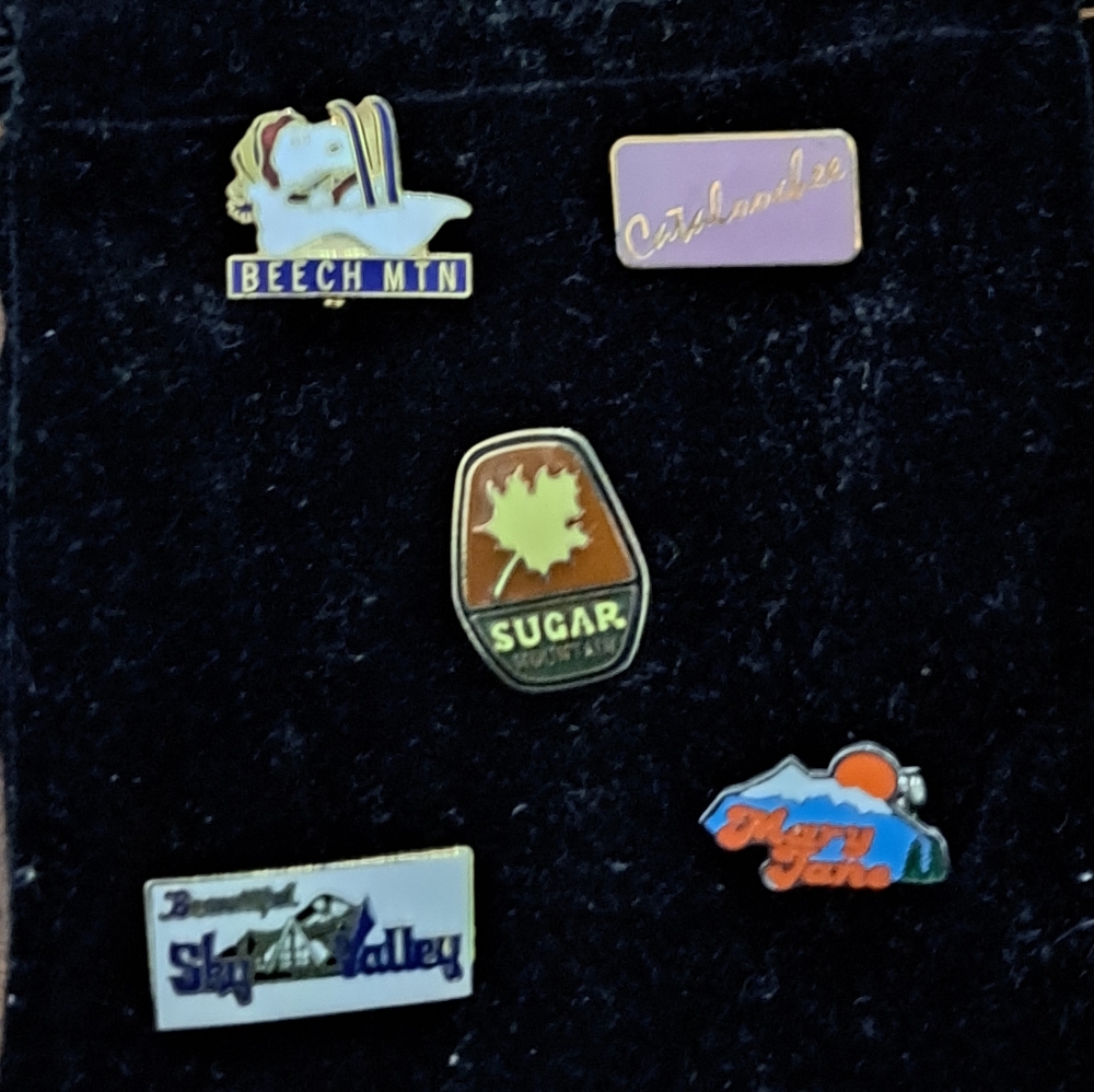 Vintage southeastern US ski pins